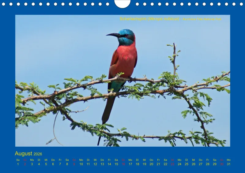 Birdwatching - Uganda - klein