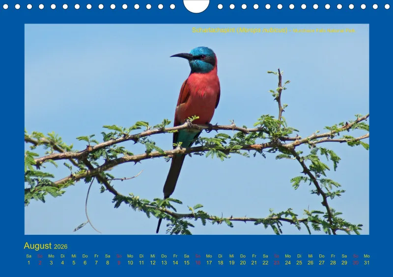 Birdwatching - Uganda - klein