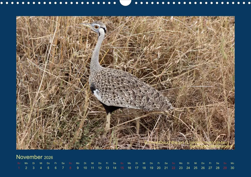 Birdwatching - Tansania