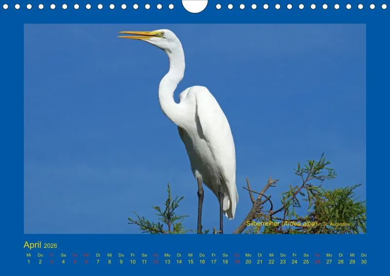 Birdwatching - USA - Florida - klein