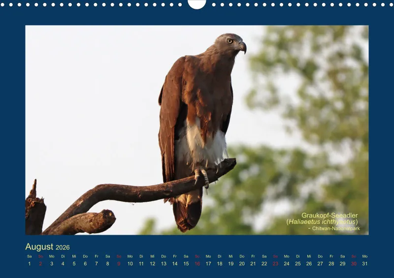 Birdwatching - Nepal