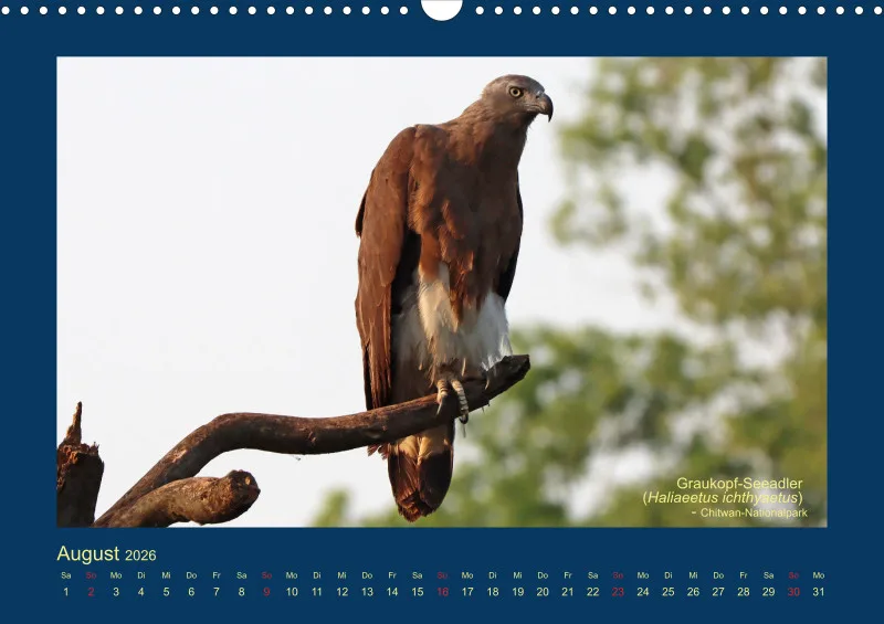Birdwatching - Nepal