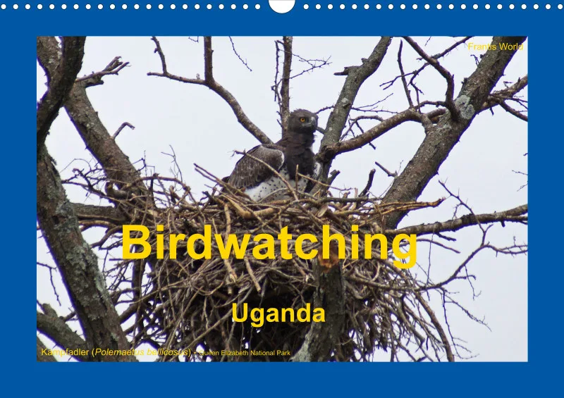 Birdwatching - Uganda