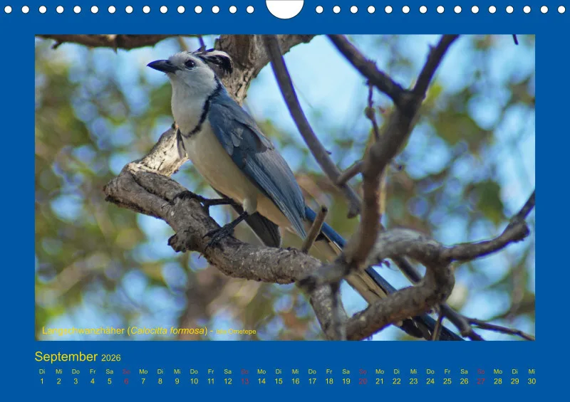 Birdwatching - Nicaragua - klein