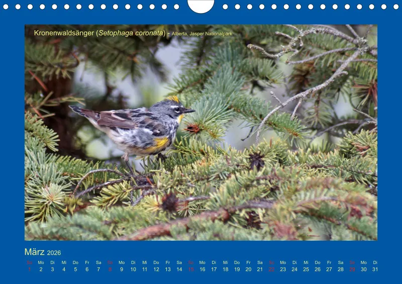 Birdwatching - Kanada - klein