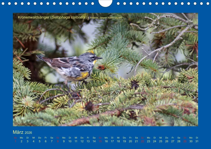 Birdwatching - Kanada - klein