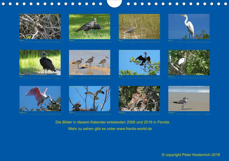Birdwatching - USA - Florida - klein