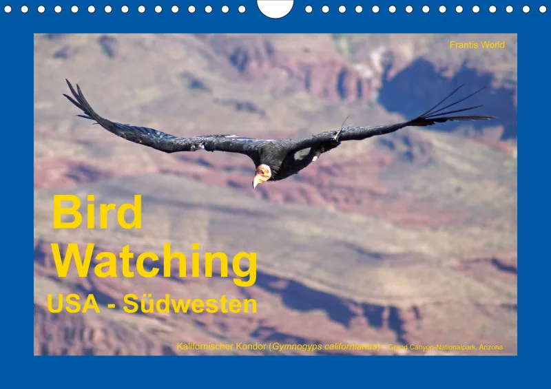 Birdwatching - USA - Südwesten - klein