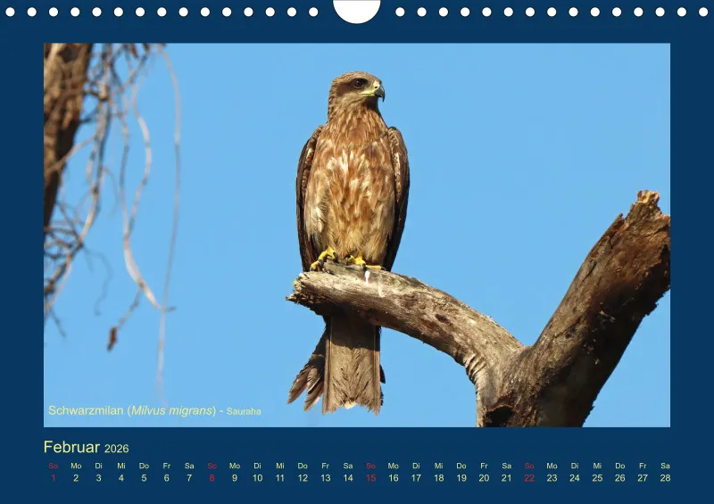 Birdwatching - Nepal