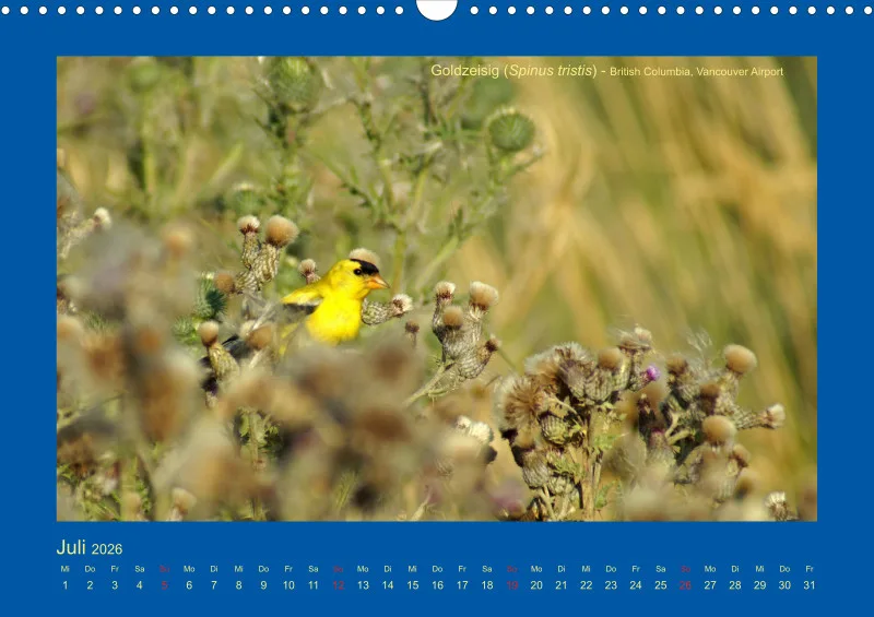 Birdwatching - Kanada