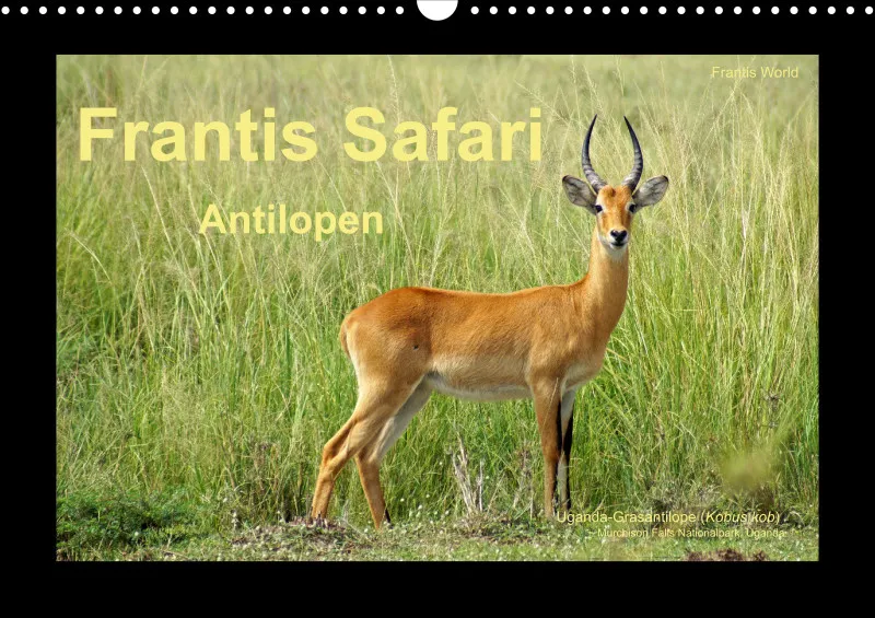 Frantis Safari - Antilopen
