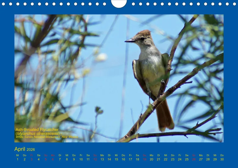 Birdwatching - USA - Südwesten - klein