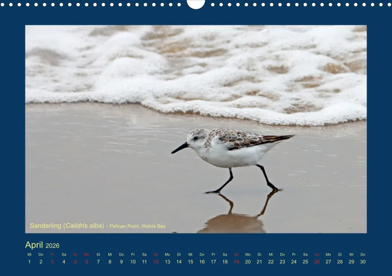 Birdwatching - Namibia