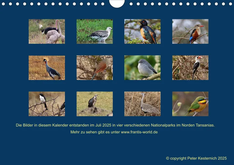 Birdwatching - Tansania - klein