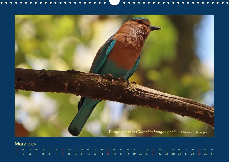 Birdwatching - Nepal