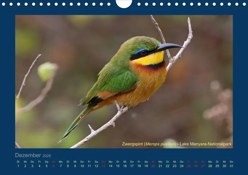 Birdwatching - Tansania - klein