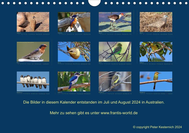 Birdwatching - Australien - Kleine Vögel - klein