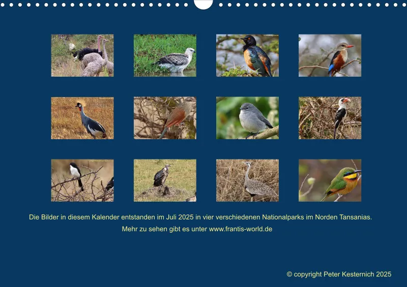 Birdwatching - Tansania