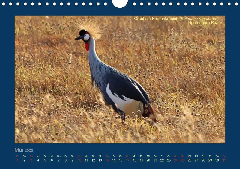Birdwatching - Tansania - klein