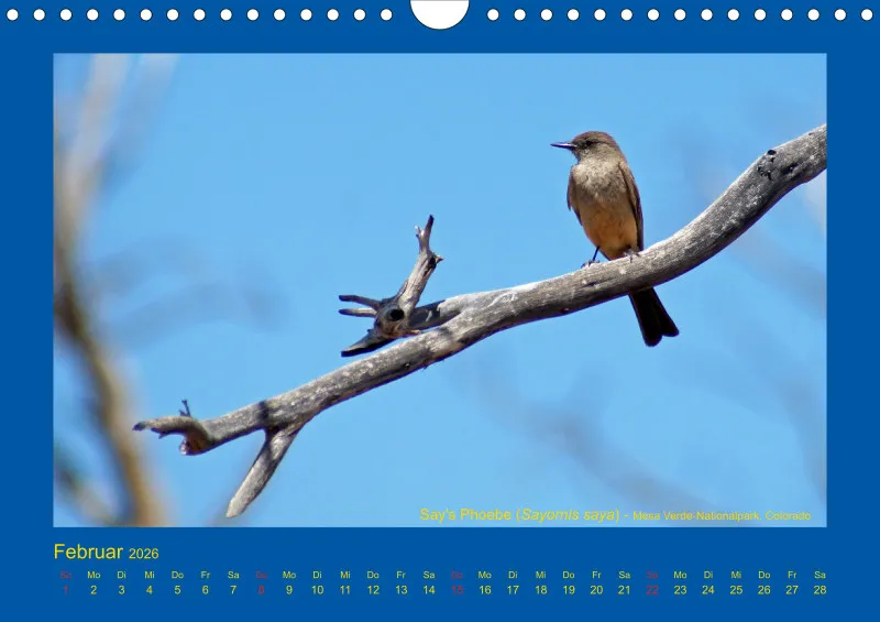 Birdwatching - USA - Südwesten - klein