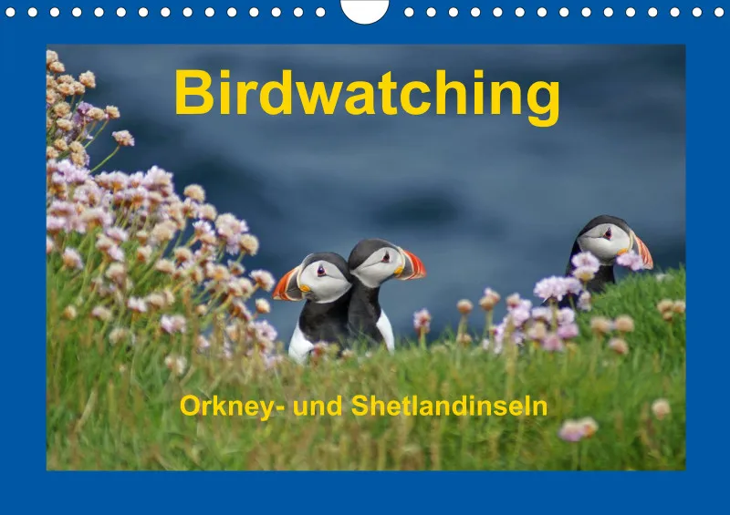 Birdwatching - Orkney- und Shetlandinseln - klein