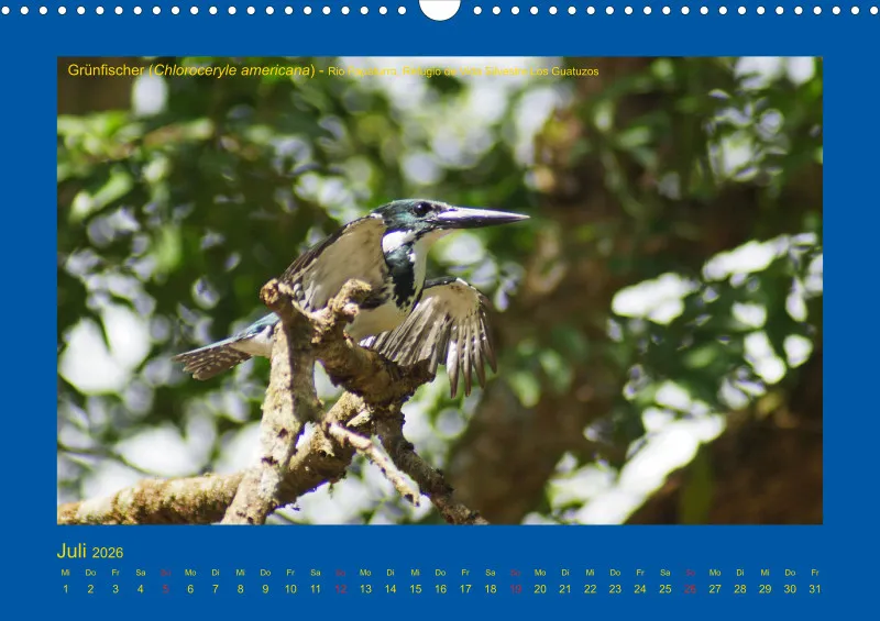 Birdwatching - Nicaragua