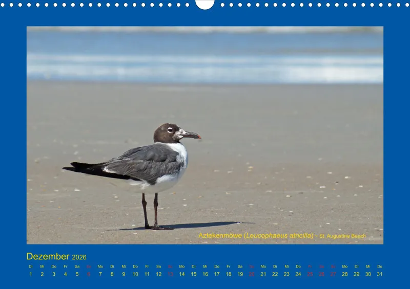Birdwatching - USA - Florida