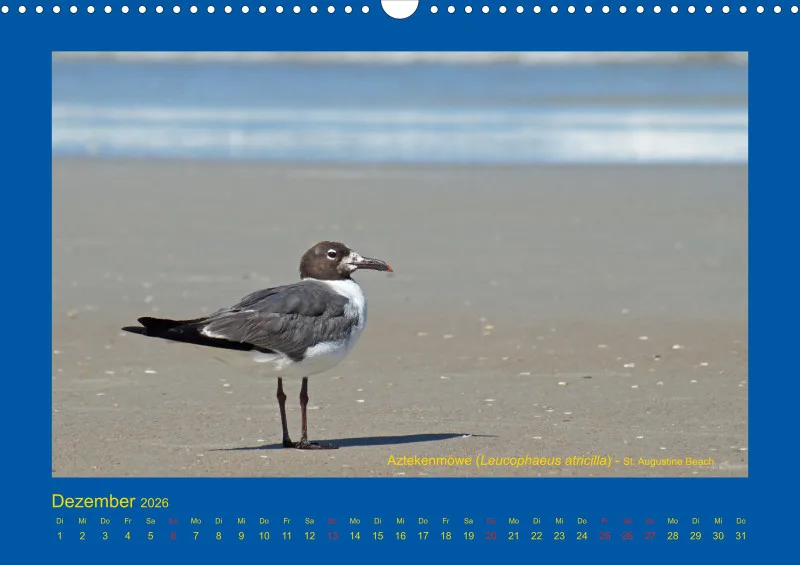 Birdwatching - USA - Florida