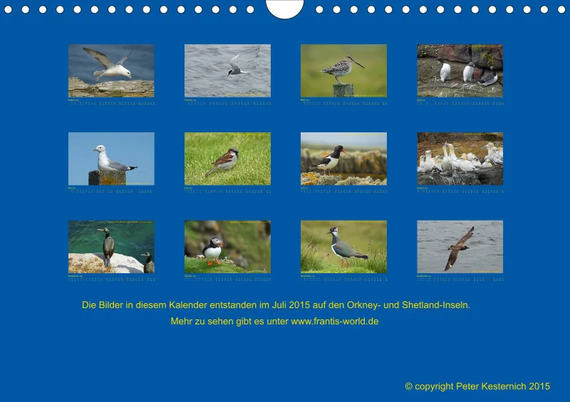 Birdwatching - Orkney- und Shetlandinseln - klein