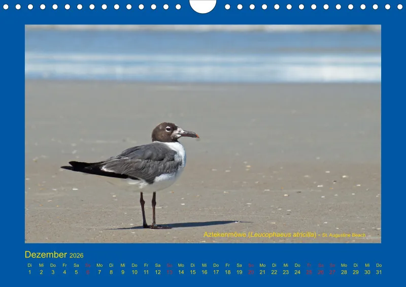 Birdwatching - USA - Florida - klein
