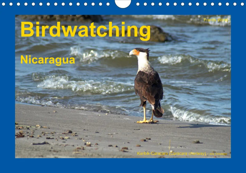 Birdwatching - Nicaragua - klein