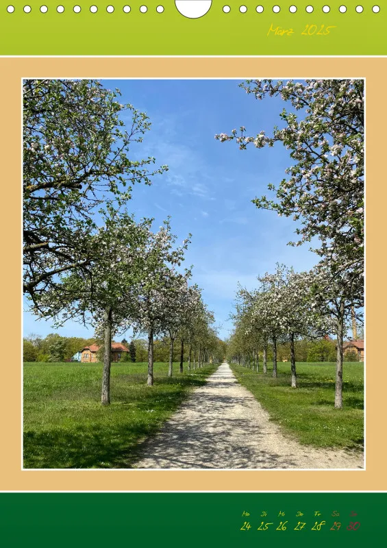 Ein Wald Morgenspaziergang ins Grüne