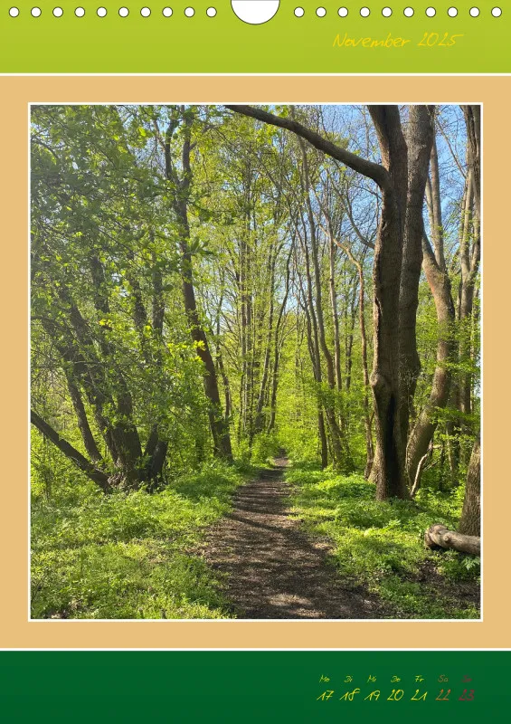 Ein Wald Morgenspaziergang ins Grüne