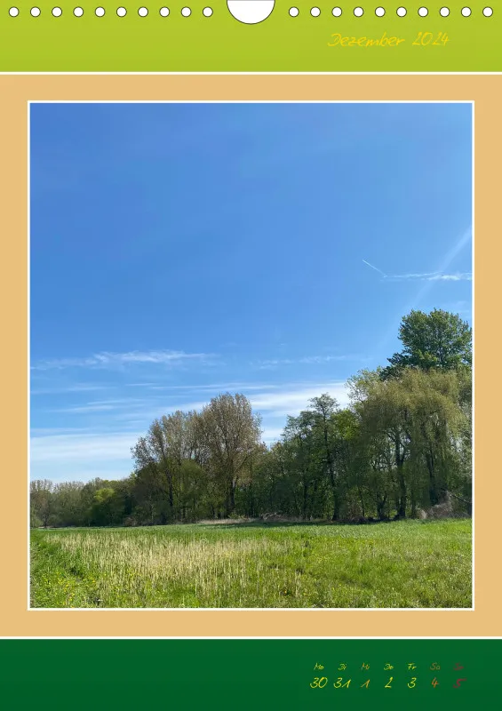 Ein Wald Morgenspaziergang ins Grüne
