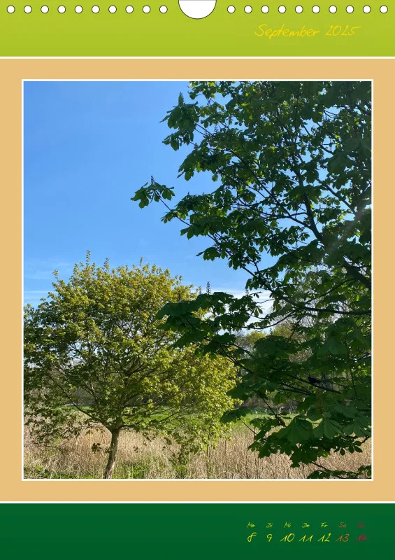 Ein Wald Morgenspaziergang ins Grüne
