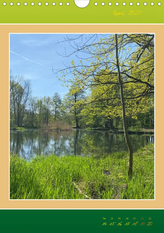 Ein Wald Morgenspaziergang ins Grüne