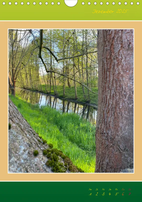 Ein Wald Morgenspaziergang ins Grüne