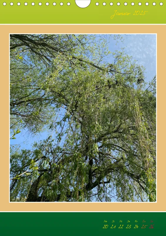 Ein Wald Morgenspaziergang ins Grüne