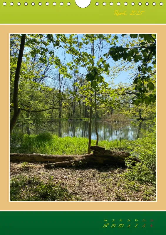 Ein Wald Morgenspaziergang ins Grüne
