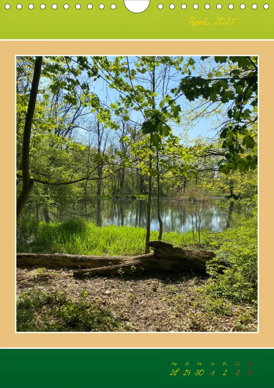 Ein Wald Morgenspaziergang ins Grüne