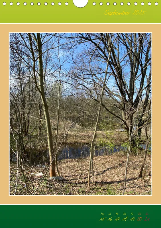 Ein Wald Morgenspaziergang ins Grüne