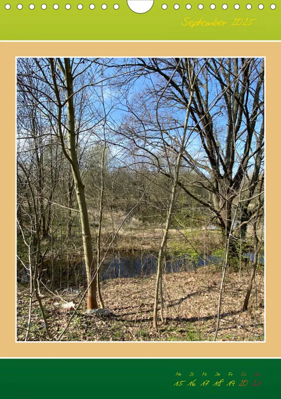 Ein Wald Morgenspaziergang ins Grüne