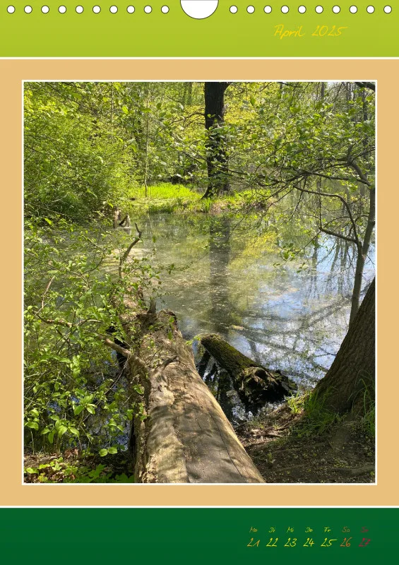 Ein Wald Morgenspaziergang ins Grüne