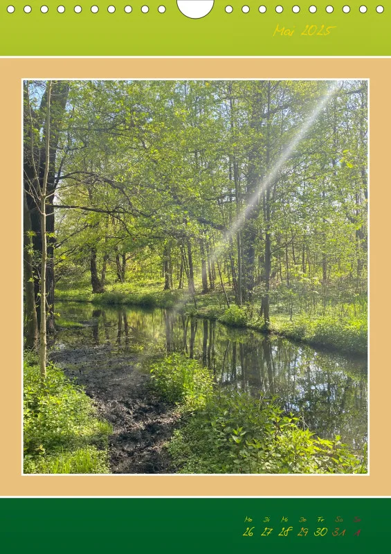 Ein Wald Morgenspaziergang ins Grüne