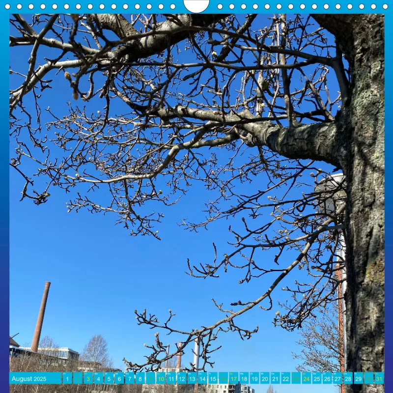 Berlin 001 Blaues Wunder (2025)