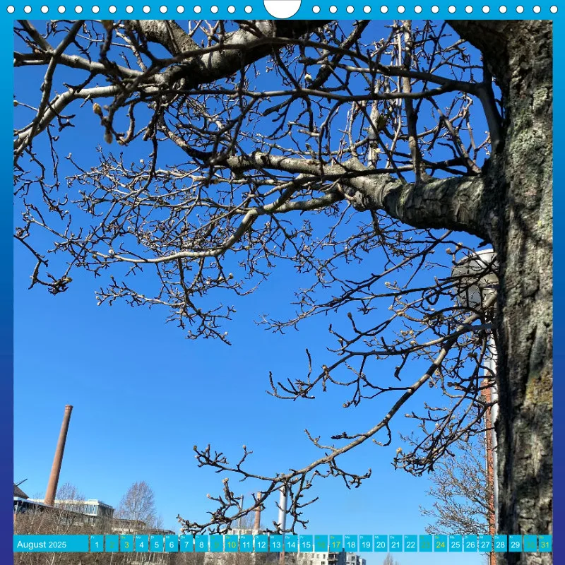 Berlin 001 Blaues Wunder (2025)