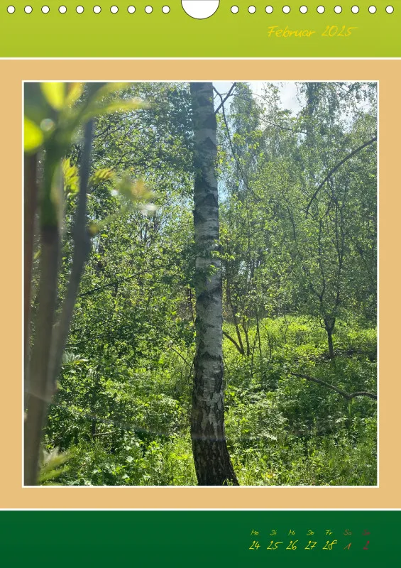 Ein Wald Morgenspaziergang ins Grüne