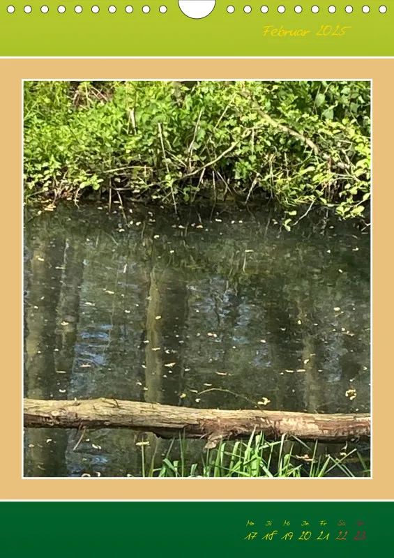 Ein Wald Morgenspaziergang ins Grüne