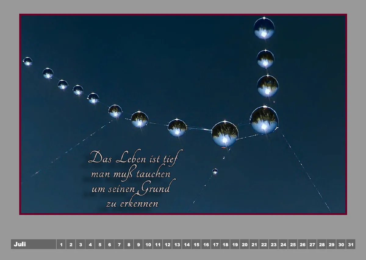 Tautropfen - H.Jürgen Rubin / Poesie - Linda Li