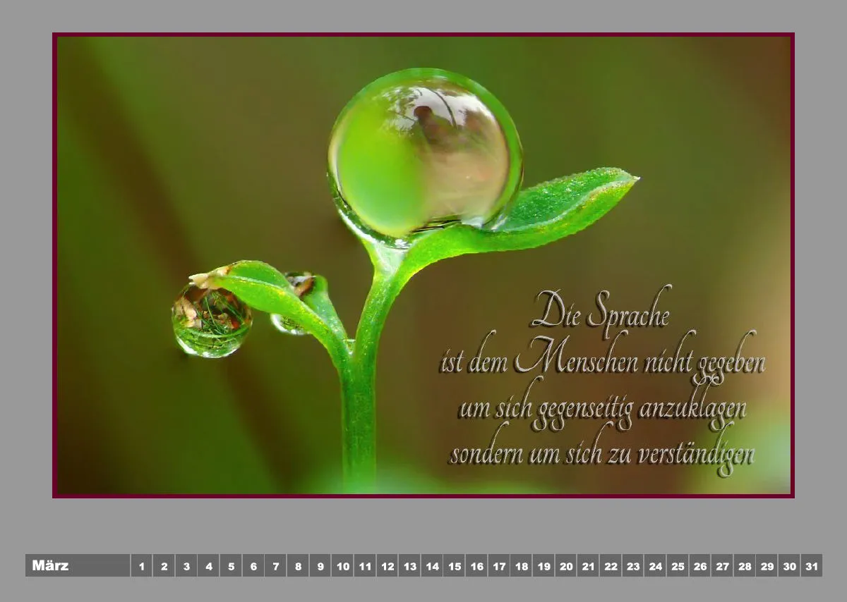 Tautropfen - H.Jürgen Rubin / Poesie - Linda Li